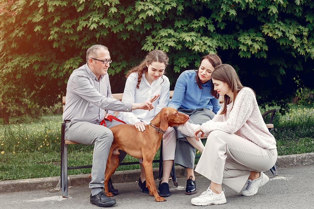 Supporting Family Caregivers